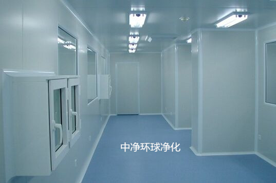 潔凈室廠房機房設(shè)備、管道布置設(shè)計